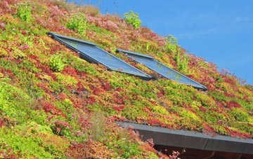 Oving living roof systems